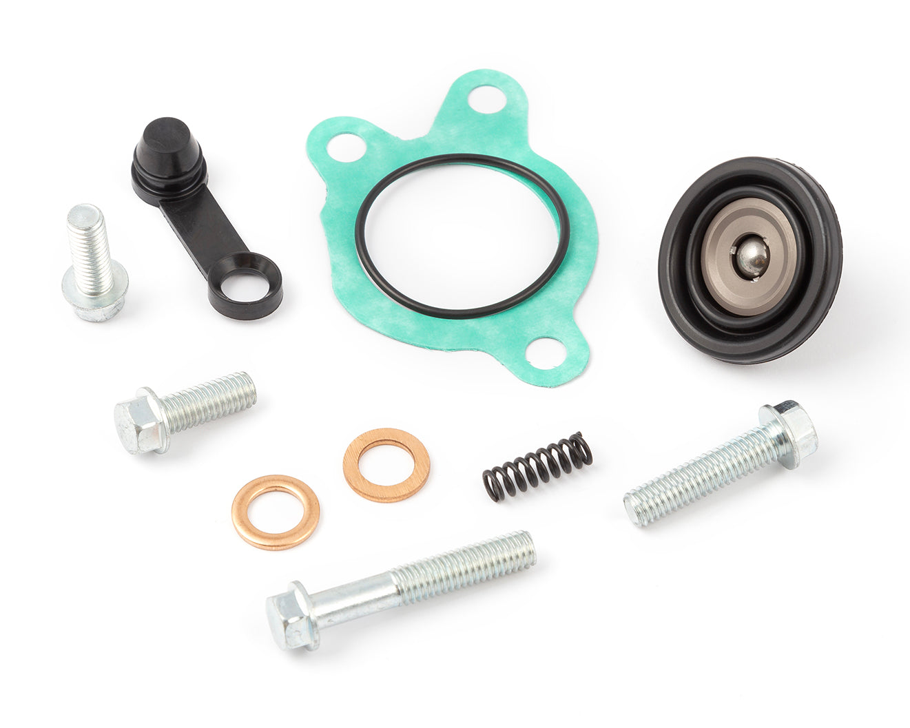 Kit Reparación Pinza Freno Trasero Brembo S3 Sherco Se-r-six Days 250 (2012-2026)